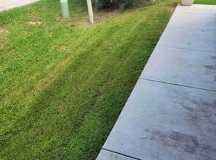 Michael G.'s turf maintenance service result