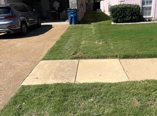 Amado E.'s turf care service result