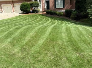Robert R.'s turf care service result