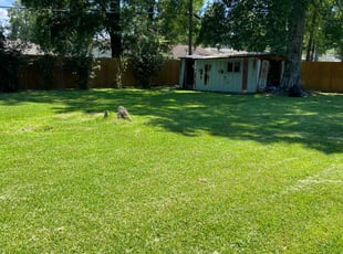 Samora S.'s turf maintenance service result