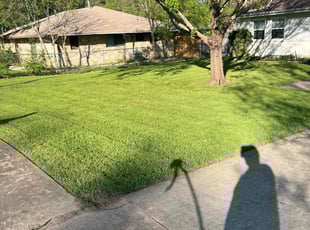 Barry D.'s Cleanups service result