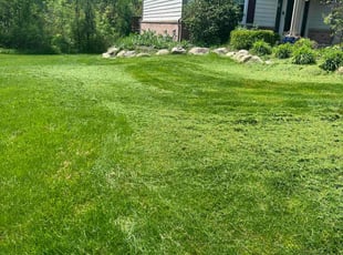 Maria C.'s grass maintenance service result