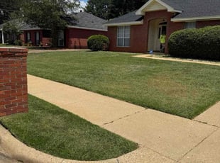 Anna N.'s lawn service service result