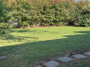 Crystal A.'s lawn care service result
