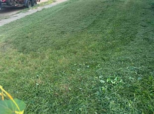Joe L.'s lawn care service result