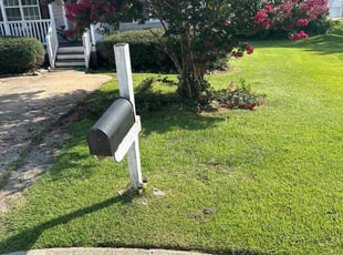 Laurie O.'s Tree Trimming service result
