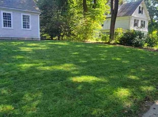 Wanika L.'s grass cutting service result