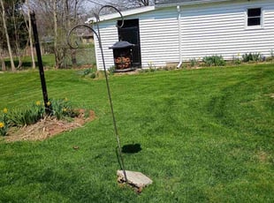 Rebecca F.'s grass cutting service result