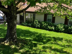 Arlene R.'s grass cutting service result