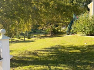 Dynesha M.'s lawn maintenance service result