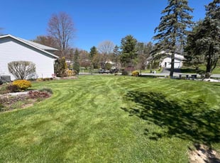 Anne D.'s lawn service service result