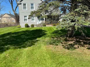 David R.'s lawn maintenance service result