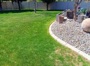 Irina E.'s lawn care service result