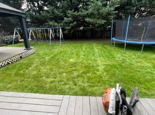 Rob D.'s lawn care service result