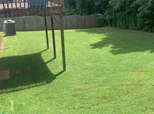 Yasmeen S.'s turf care service result