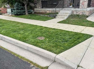 Laurel D.'s yard work service result