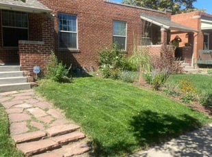 Kawaljit C.'s grass maintenance service result