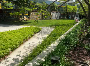 Tiffany R.'s lawn service service result