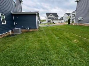 Brandon P.'s grass maintenance service result