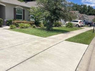 Anne T.'s lawn service service result