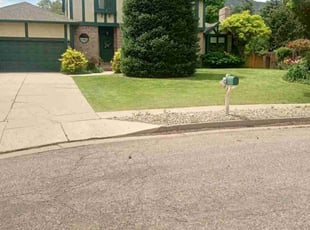 Tracey A.'s turf care service result