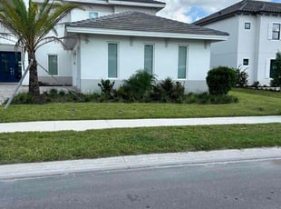 Perla R.'s grass maintenance service result