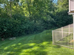 Nicole B.'s lawn service service result