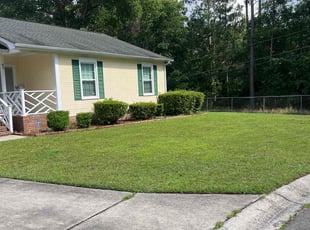 Carla T.'s turf maintenance service result