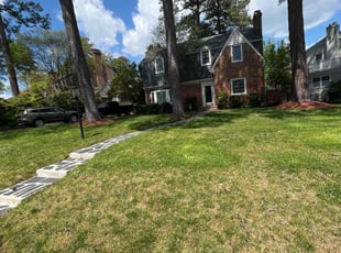 Jake L.'s turf care service result