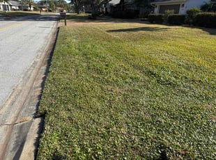 Souheil N.'s turf maintenance service result