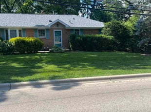 Paul U.'s grass cutting service result