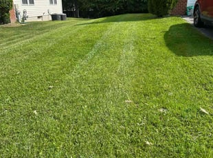 Jim E.'s lawn care services service result