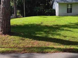 Cynthia W.'s lawn care services service result