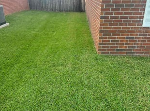 Garvin W.'s turf care service result