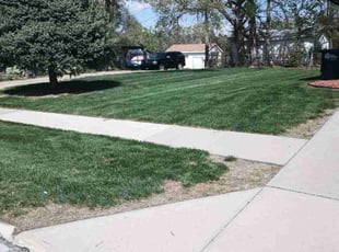 Ricky P.'s lawn care services service result