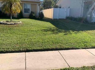Kai D.'s turf maintenance service result