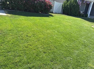 Sarah Z.'s lawn maintenance service result