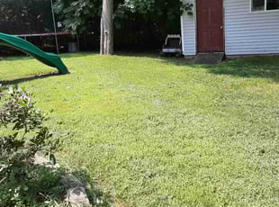 Karen H.'s lawn maintenance service result