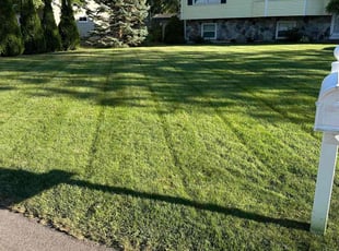 Shyceka A.'s grass cutting service result