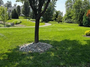 P.G. R.'s lawn care services service result