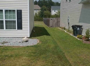Tisha W.'s lawn care services service result