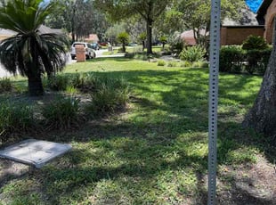 Sheung C.'s grass maintenance service result