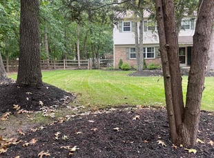 Sonja M.'s turf care service result