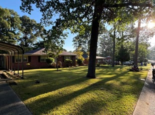 Tammy A.'s grass maintenance service result