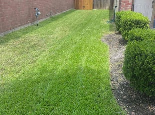 Shawana F.'s yard work service result