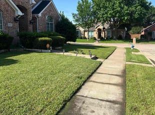 Lucinda B.'s grass maintenance service result