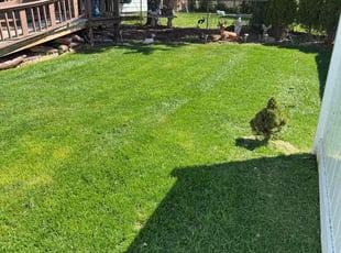 Laverne M.'s landscaping service result