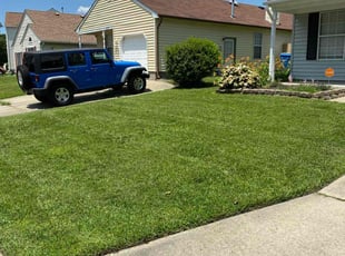 Christine S.'s residential landscaping service result