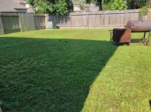 Mark H.'s turf maintenance service result