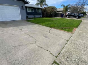 David P.'s lawn care services service result